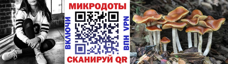 купить закладку  Полесск  Псилоцибиновые грибы прущие грибы 